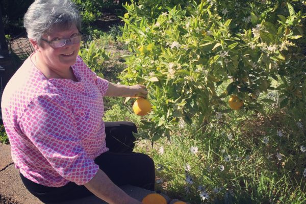 Charlotte harvesting Oranges